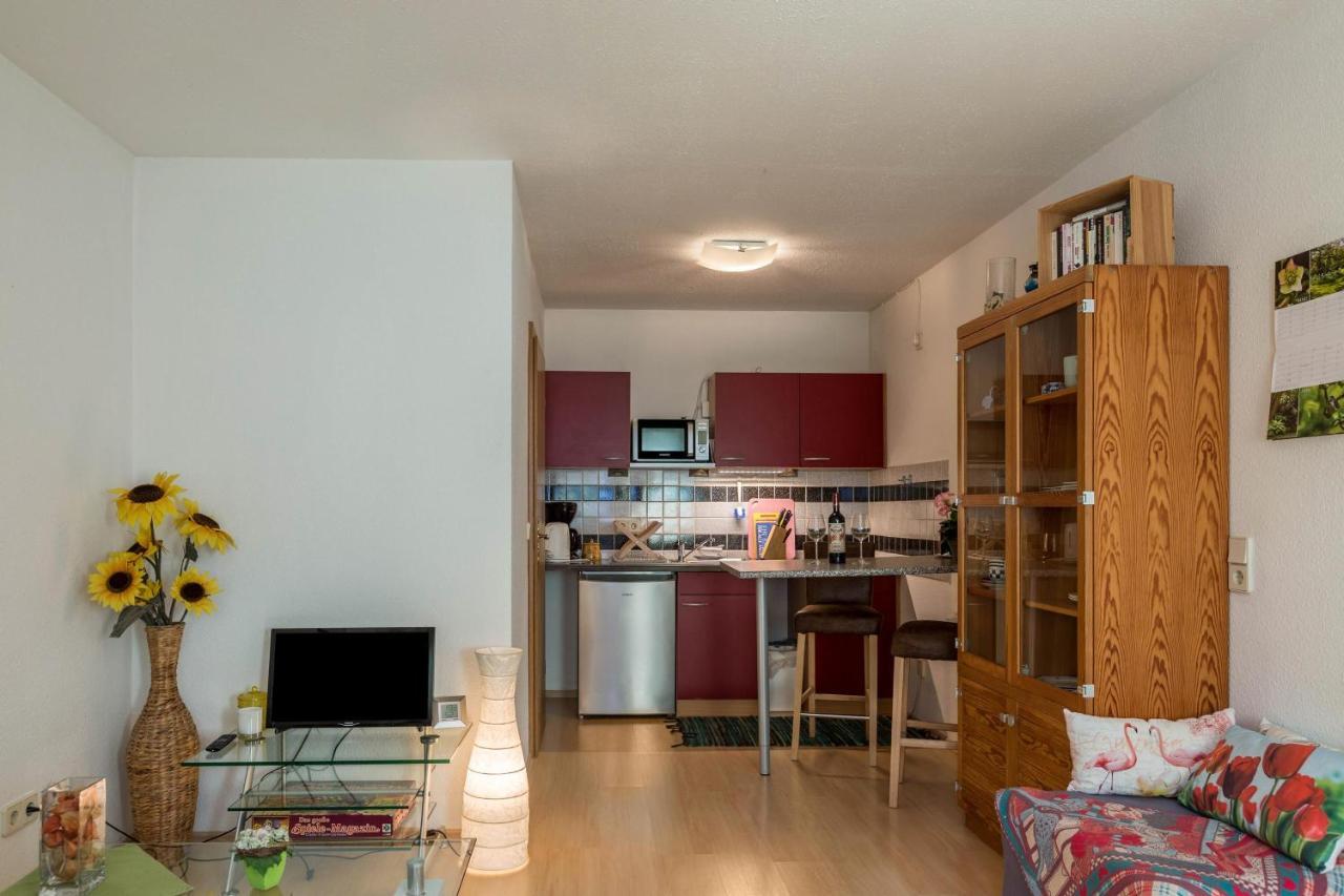 Ferienwohnung Alina Singen Luaran gambar
